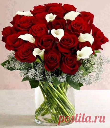 Популярное – Google+