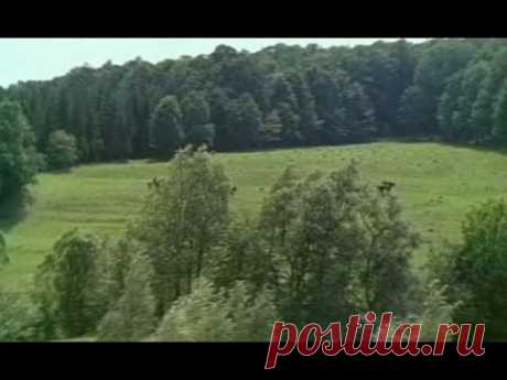 Высоцкий-Баллада о Любви-Айвенго - YouTube — Яндекс.Видео
