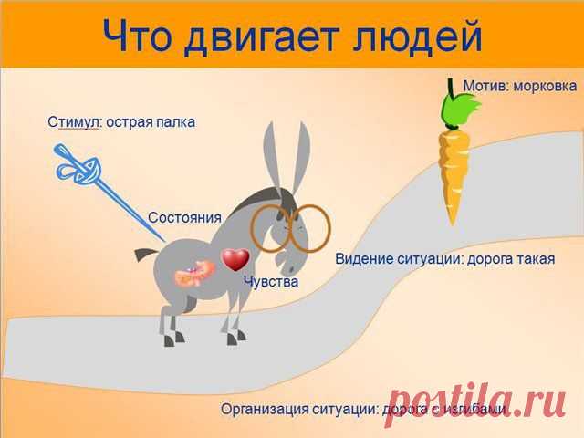 Полезные советы для похудения
