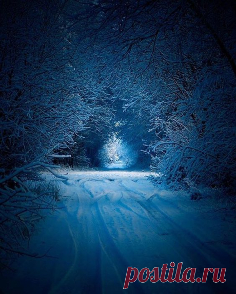 (37) Pinterest