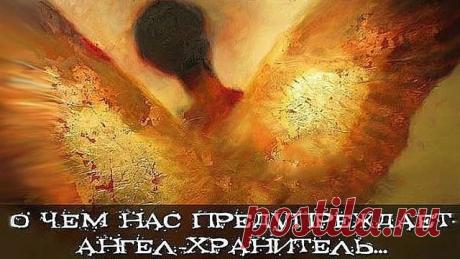 (41) Одноклассники