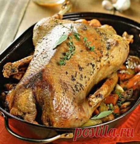 Вкусная подборка рецептов!
Праздничный гусь!
Горячие блюда обязательно должны присутствовать на новогоднем столе, ведь без них, как правило, вообще не обходится ни один праздник. 
Новогоднее горячее блюдо отличается от обычных праздничных блюд особенными ингредиентами и красивой подачей. Особенно эффектно выглядит запечённая целиком тушка гуся, нафаршированная различными начинками и специями.
Подать в новогодний вечер такое блюдо дело чести хорошей хозяйки. Но, вот беда, гуся купили, а что с н