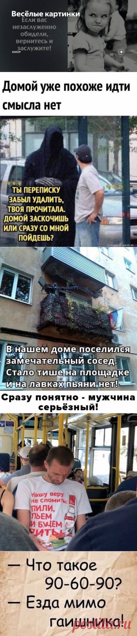 Весёлые картинки | Юмор | Яндекс Дзен