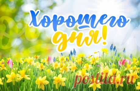 Хорошего дня