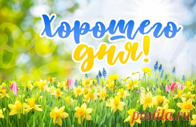 Хорошего дня