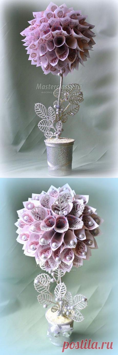 Новогоднее денежное дерево из сувенирных купюр: мастер-класс с пошаговыми фото