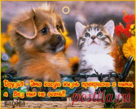 Мой Мир@Mail.Ru