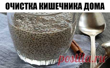 Очистка кишечника :Известно, что для избавления от многих заболеваний достаточно очистить  Очистка кишечника :Известно, что для избавления от многих заболеваний достаточно очистить 
кишечник от слизи, каловых камней, паразитов. За 70 лет жизни через 
кишечник проходит 100 тонн пищи и 40 тысяч литров жидкости.

Итог: в кишечнике скапливается более 15 кг каловых камней, токсичных 
отходов жизнедеятельности, отравляющих кровь и наносящих непоправимый 
вред нашему организму. О...