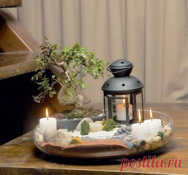Мини сад своими руками - это просто!