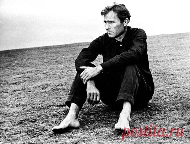 Нам бы про душу не забыть, нам бы чуть добрее быть, нам бы, 
с нашими скоростями, не забыть, что люди мы.

В. Шукшин