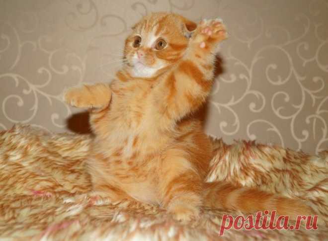 20 потрясающих фотографий, которые стоит увидеть