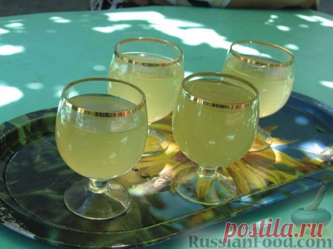 Рецепт: Вино из одуванчиков на RussianFood.com