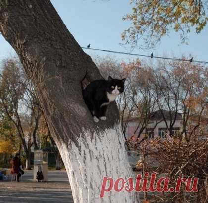 Редкое фото: неоперившийся птенец впервые покидает гнездо