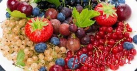 Какие вкусности из ягод можно заготовить на зиму Как приятно зимой открыть баночку душистого варенья и вдохнуть терпкий аромат лета! А чтобы было что открывать, сначала нужно что-то положить в баночки. Посмотрите подборку необычных рецептов из ягод, которые можно повторить самостоятельно.