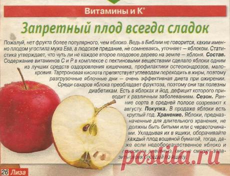 О пользе яблок