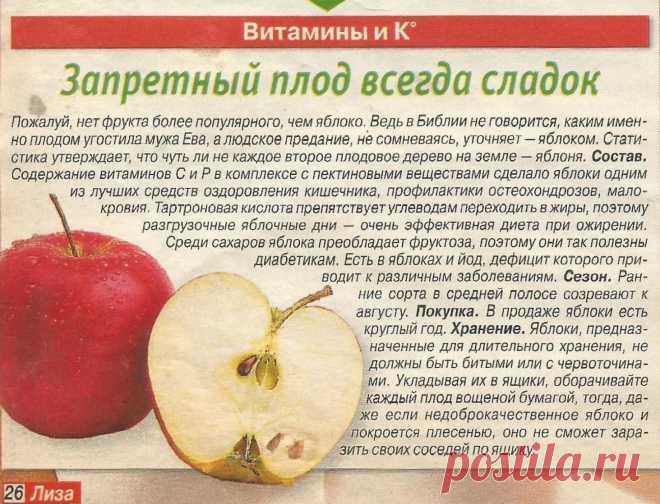О пользе яблок
