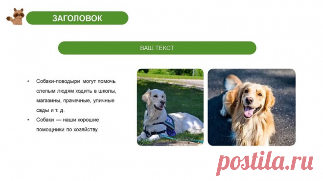 Запись на стене #шаблон #презентация #PowerPoint #экология #защита #животных  Шаблон презентации PowerPoint: “Защита животных начинается с меня” Хотите создать впечатляющую презентацию, которая заставит сердца биться чаще и вдохновит на действия в защиту животных? Наш новый шаблон PowerPoint - идеальное решение! Почему именно этот шаблон? Современный дизайн: Яркие и насыщенные цвета, минималистичный дизайн, который привлекает внимание и подчеркивает важ...