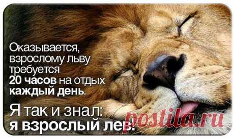 Мой Мир@Mail.Ru