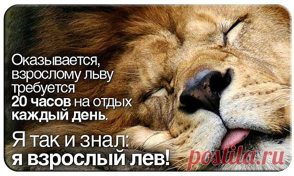 Мой Мир@Mail.Ru