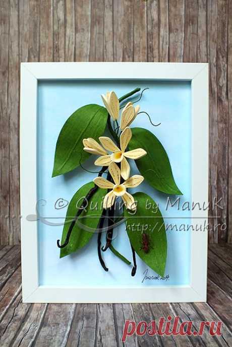 Quilled Vanilla Orchid with Real Vanilla Pods (Vanilla Planifolia)