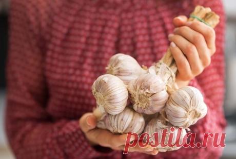 Кому нельзя есть чеснок Чеснок - один из самых удивительных продуктов, созданных природой. О его лечебном потенциале и широких кулинарных возможностях хорошо известно с древности. Но неограниченно его употреблять нельзя даже здоровым людям - чеснок противоречивый продукт. При некоторых же заболеваниях и состояниях от него придется отказаться совсем. Разбираемся, кому нельзя есть чеснок.