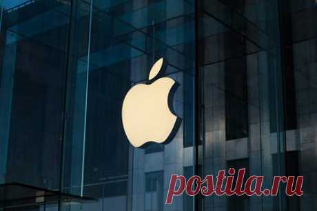 iPhone получит долгожданную функцию. Компания Apple собралась добавить в базовые смартфоны экраны с поддержкой высокой частоты кадров. По информации источников, все запланированные на 2025 год смартфоны Apple будут иметь дисплей на основе низкотемпературного поликристаллического оксида (LTPO). LTPO-дисплеи поддерживают обновление частоты до 120 герц.