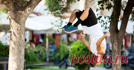 8 растений, которые заряжают энергией - новости на Здоровье Mail.Ru