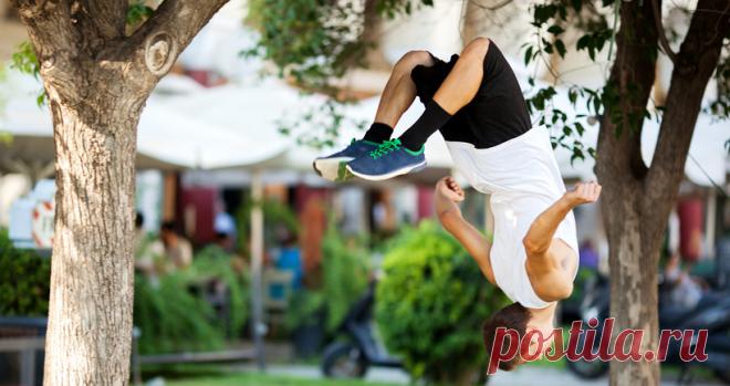 8 растений, которые заряжают энергией - новости на Здоровье Mail.Ru