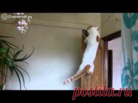 (+1) тема - Города и туманы | ВИДЕОСМАК