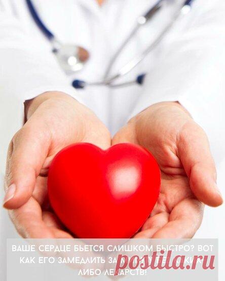 Ваше сердце бьется слишком быстро? Вот как его замедлить за минуту без каких-либо лекарств!