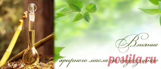 Эфирное масло. Воздействие аромамасла на человека. | Health To Life