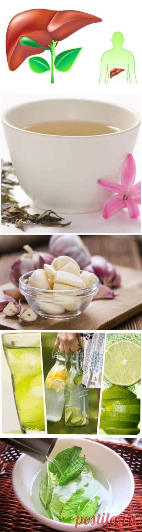 10 легких способов позаботиться о своей печени