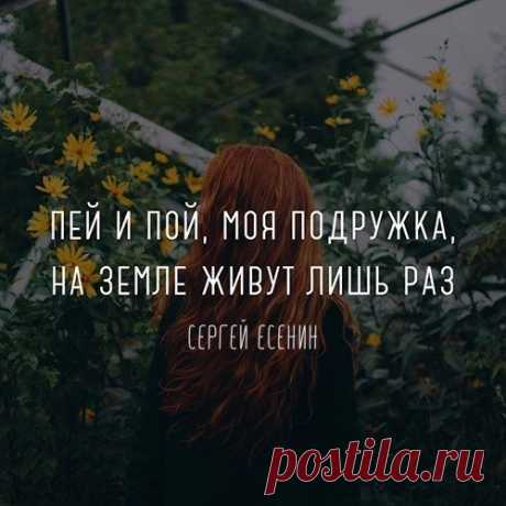 Присоединяйся к популярный проектам: 
@ikra_slov_- Неслучайные опечатки в фразах, узнай себя)
@lesson_english - Учи английский легко! - Подпишись
@pochemu_insta - Познавательный проект для роста IQ