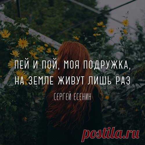 Присоединяйся к популярный проектам: 
@ikra_slov_- Неслучайные опечатки в фразах, узнай себя)
@lesson_english - Учи английский легко! - Подпишись
@pochemu_insta - Познавательный проект для роста IQ