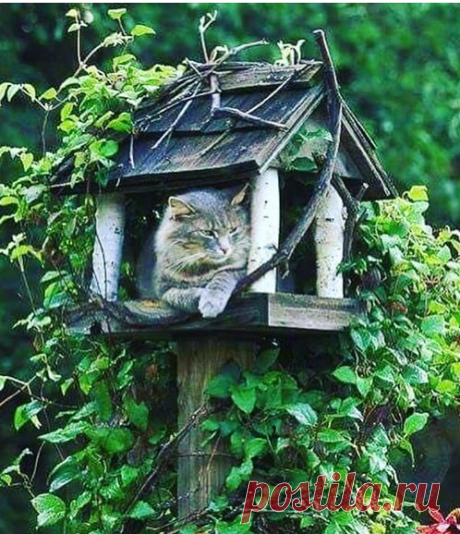 (73) Facebook