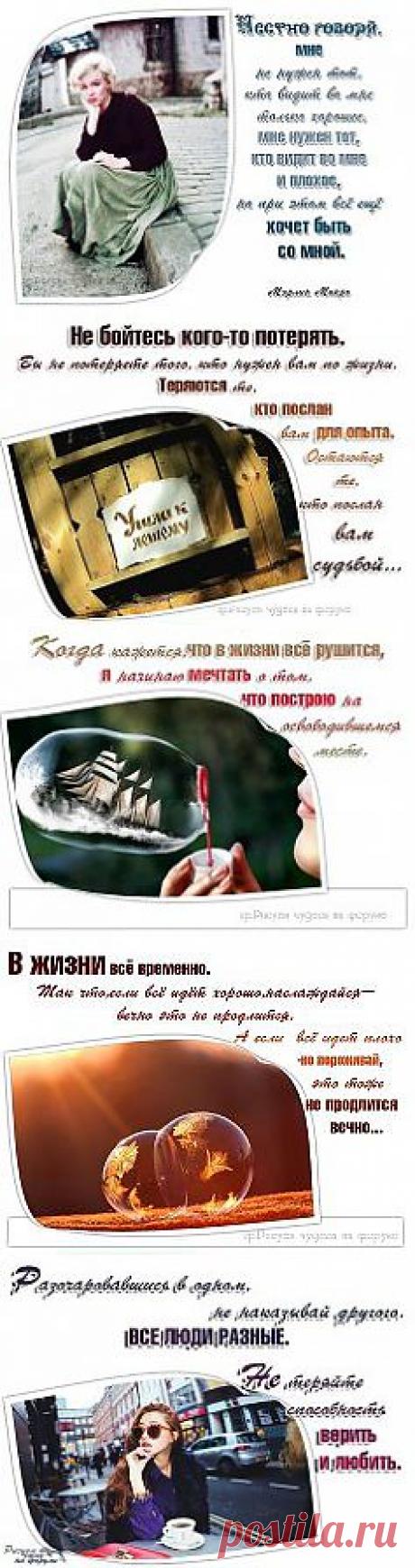 (1) Одноклассники