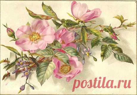 PJH Designs: Free Graphics Wednesday #09