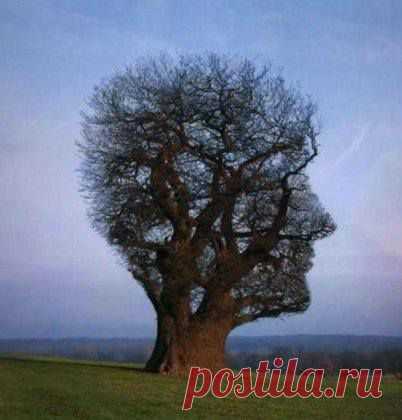 Закрыто небо