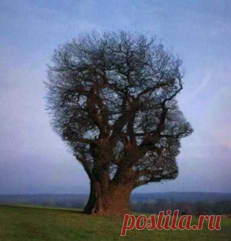 Закрыто небо