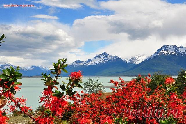 Национальный парк Лос-Гласьярес в Аргентине