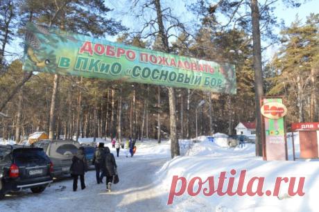 ПКиО «Сосновый бор» Новосибирска зимой
