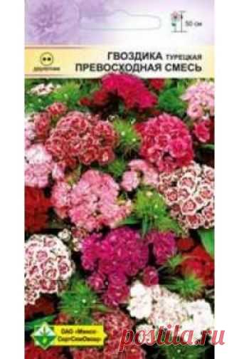Купить семена Гвоздика турецкая Превосходная смесь в Беларуси - 848