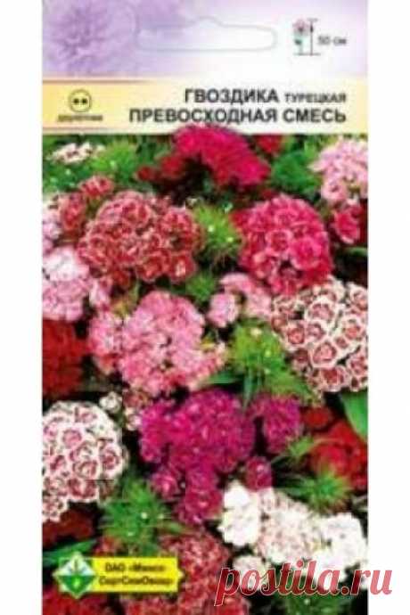 Купить семена Гвоздика турецкая Превосходная смесь в Беларуси - 848