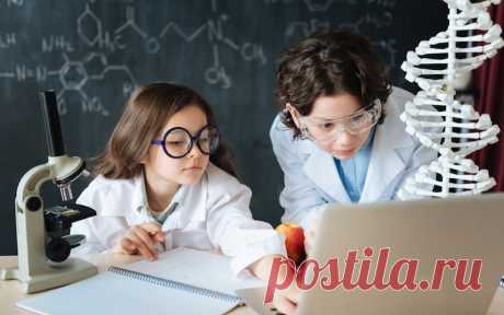 10 профессий, которые будут востребованы через пять лет - Статьи - Дети старше 7 лет - Дети Mail.Ru