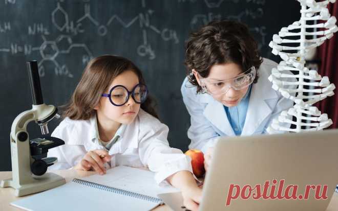 10 профессий, которые будут востребованы через пять лет - Статьи - Дети старше 7 лет - Дети Mail.Ru