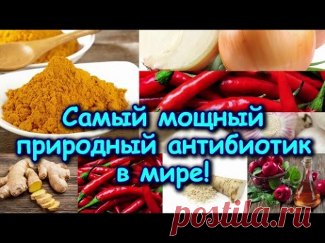 САМЫЙ МОЩНЫЙ ПРИРОДНЫЙ АНТИБИОТИК В МИРЕ!