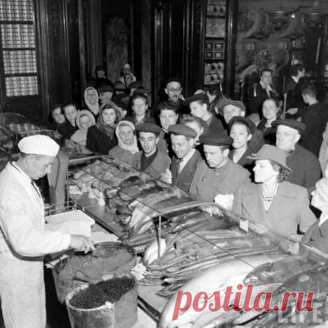 Москва 1947 года глазами американца / Назад в СССР / Back in USSR