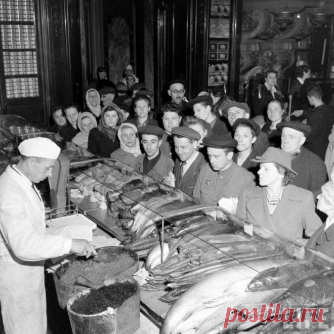 Москва 1947 года глазами американца / Назад в СССР / Back in USSR