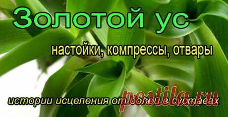 Правила здоровья и долголетия