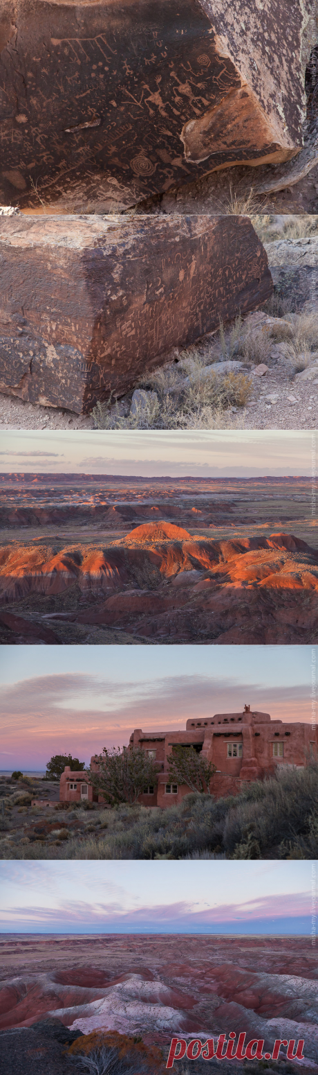 Фотопрогулка по «окаменевшему лесу»